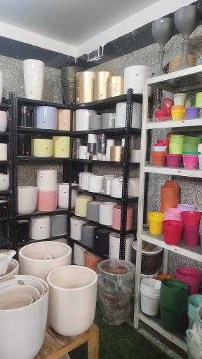 عکس گل در خانه