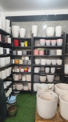 عکس گل در خانه