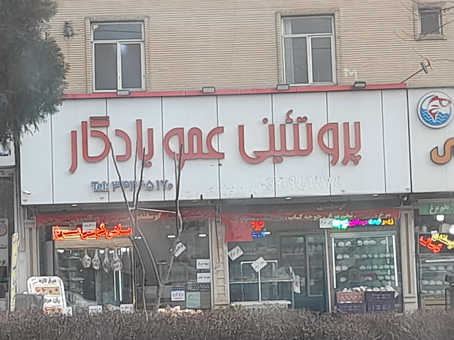 عکس پروتئین عمو یادگار