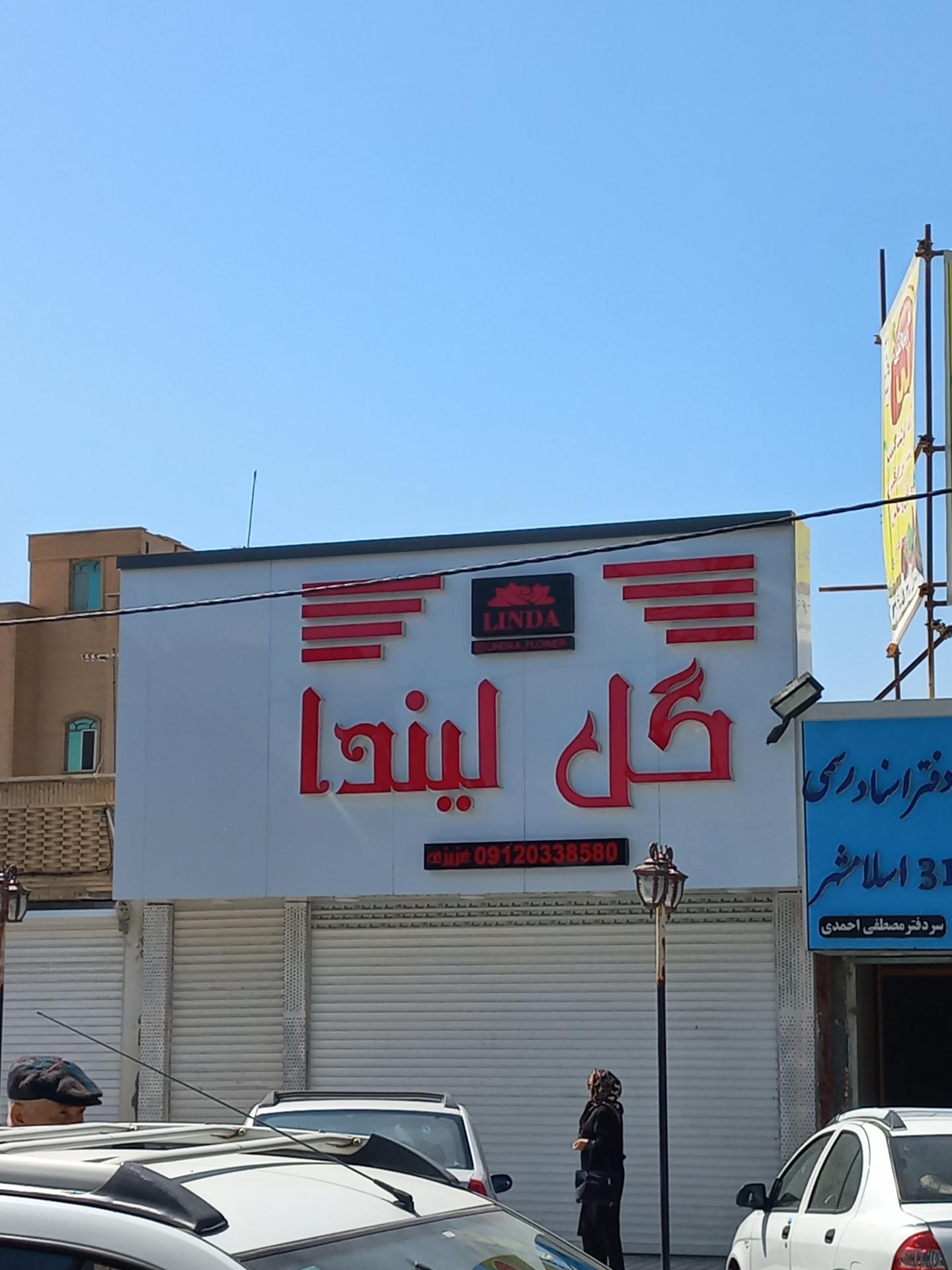 عکس گل لیندا