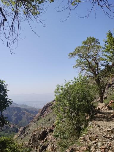 عکس دره اوسون (اوراز)