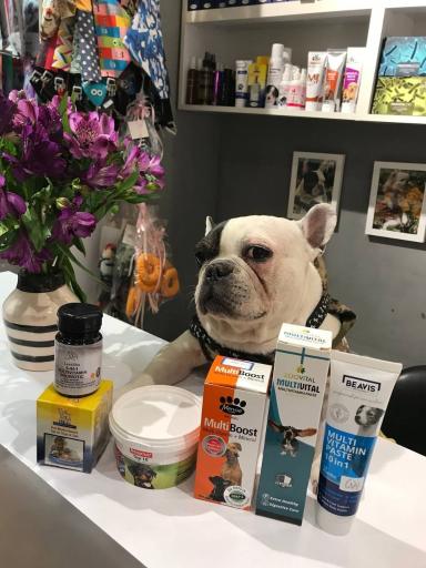 عکس پتشاپ آژین - ژولی پولی