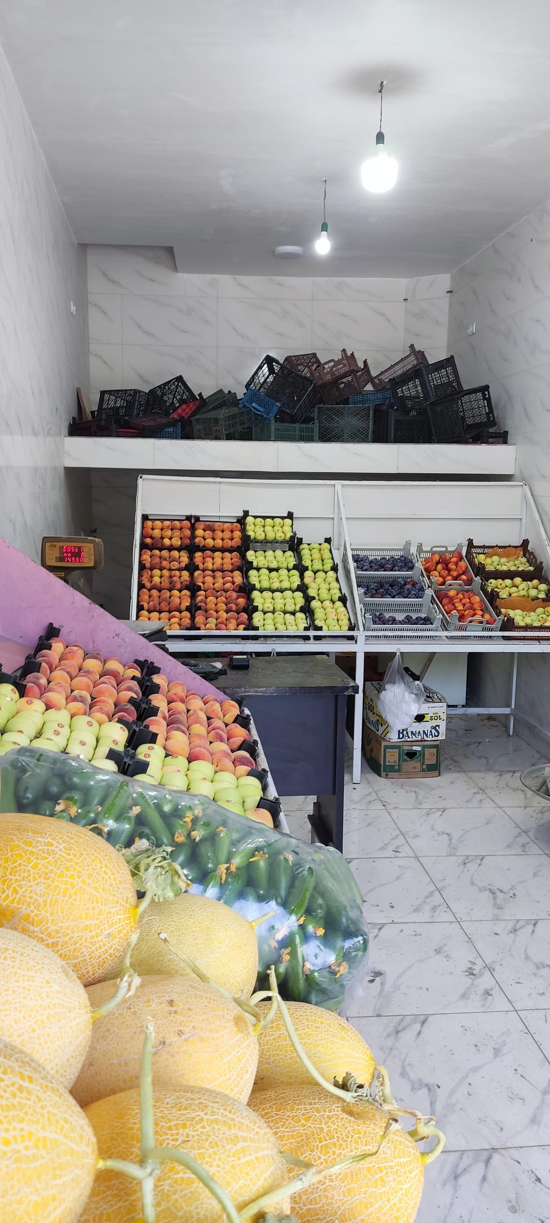 عکس میوه سرای چهار فصل 