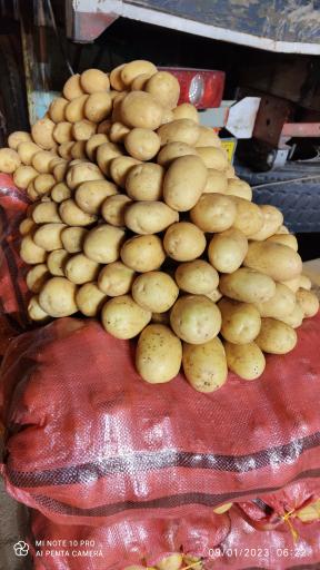 عکس غرفه 59 بارفروشی اسماعیل زارع و پسران