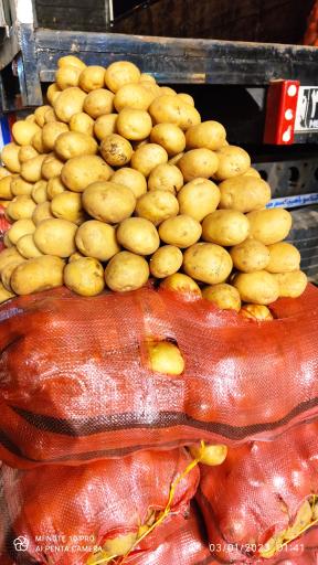 عکس غرفه 59 بارفروشی اسماعیل زارع و پسران