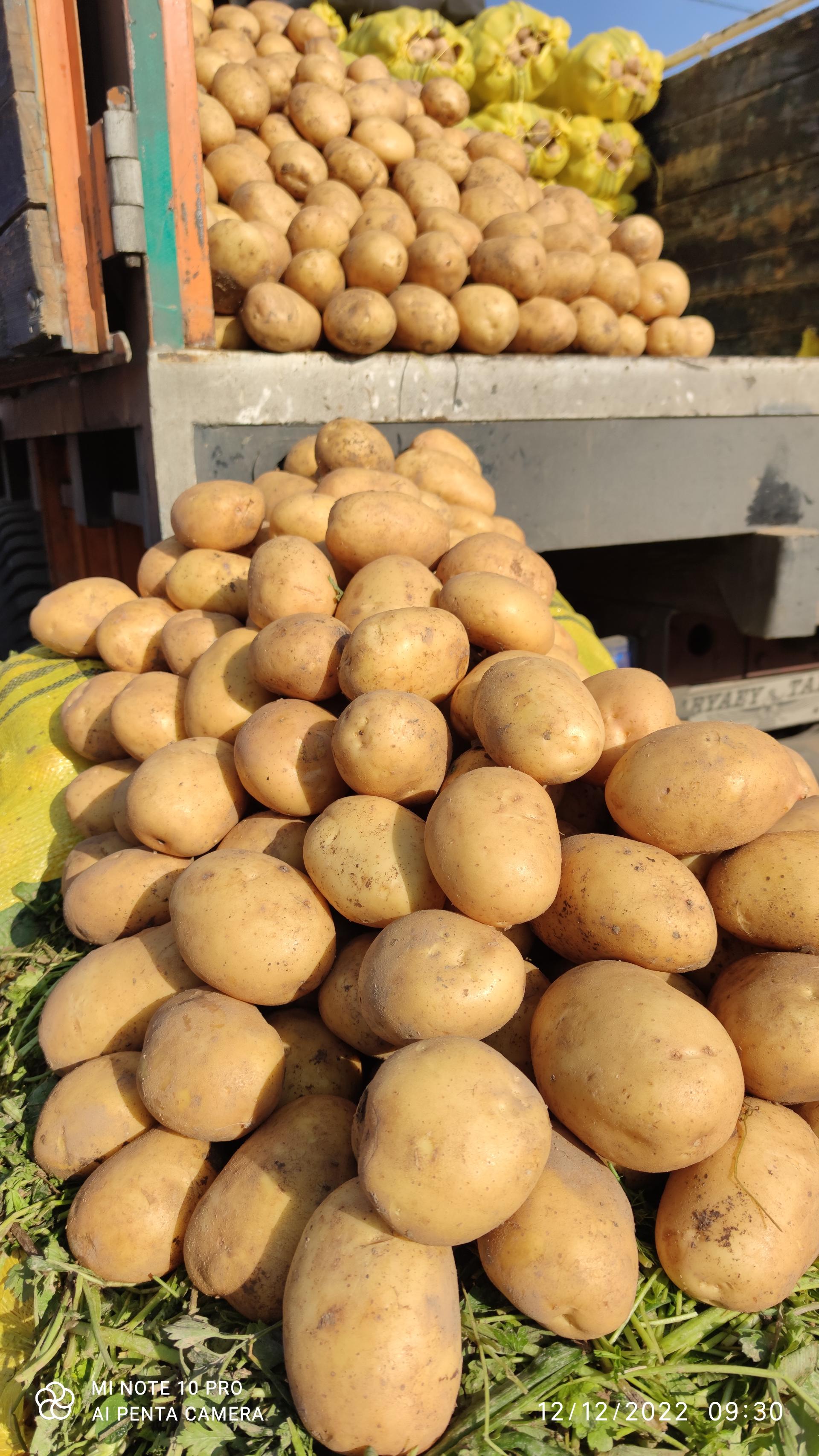 عکس غرفه 59 بارفروشی اسماعیل زارع و پسران