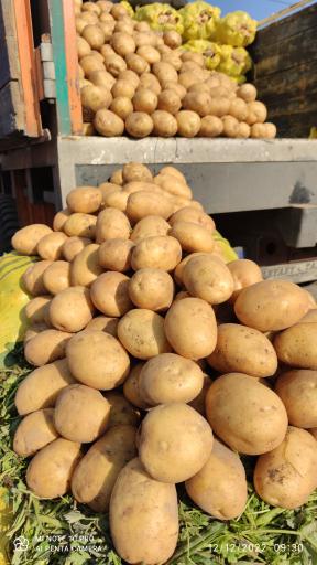 عکس غرفه 59 بارفروشی اسماعیل زارع و پسران