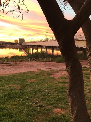 عکس پل طبیعت اهواز