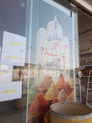 عطاری گل گندم