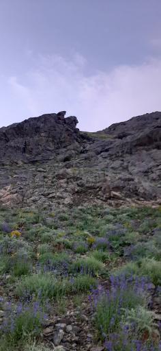 عکس دره اوسون (اوراز)