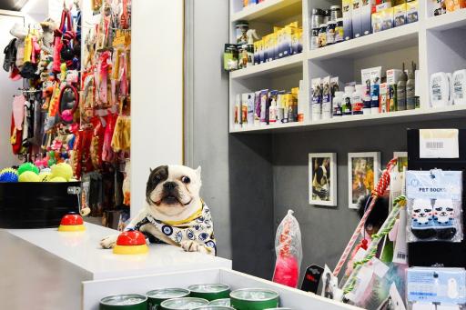 عکس پتشاپ آژین - ژولی پولی