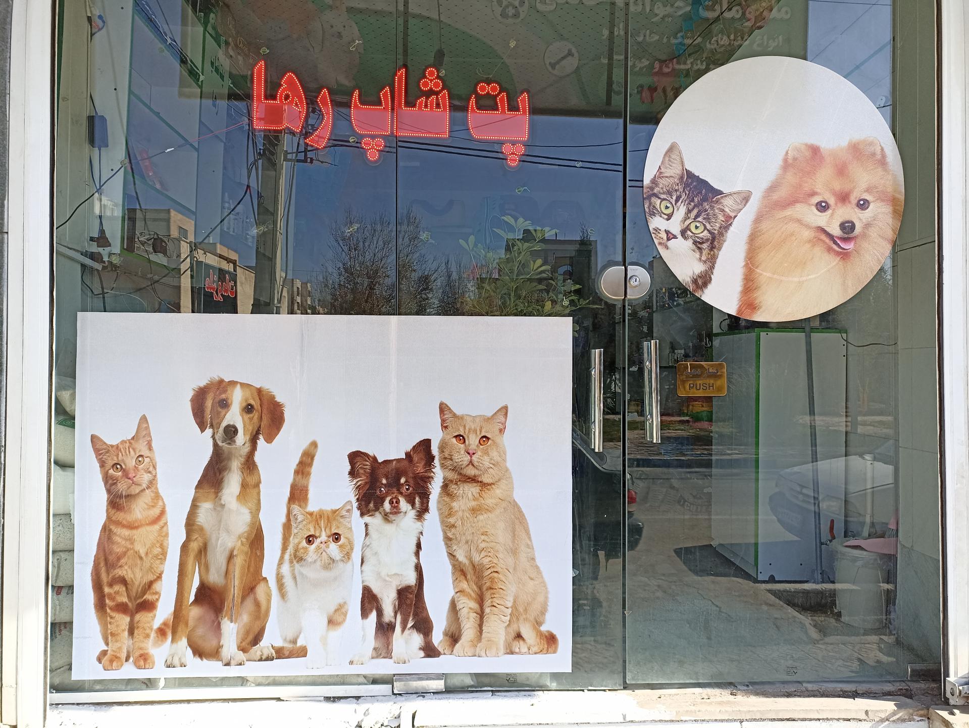 عکس پت شاپ رها 