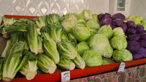 عکس میوه و تره بار سید