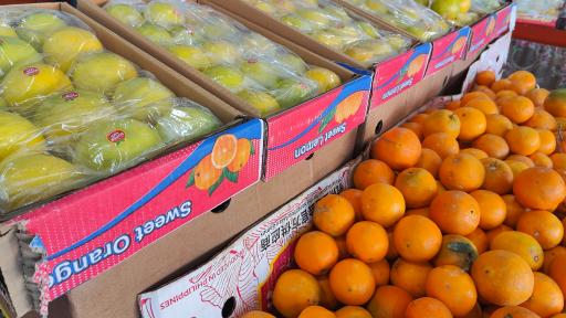 عکس میوه و تره بار سید