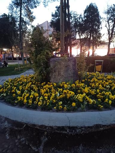 عکس باغ ملی