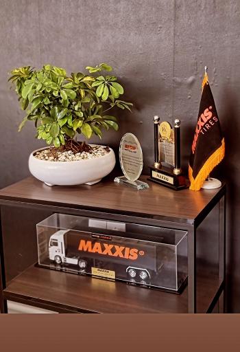 عکس فروشگاه لاستیک دعائیان