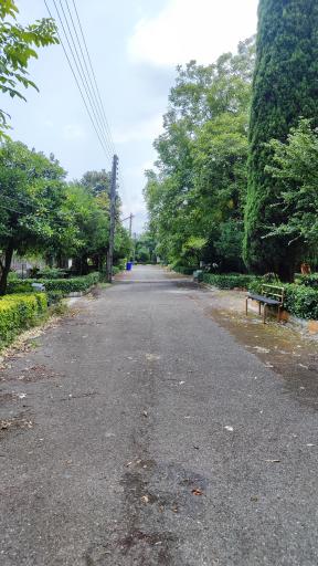 عکس شهرک آبشار