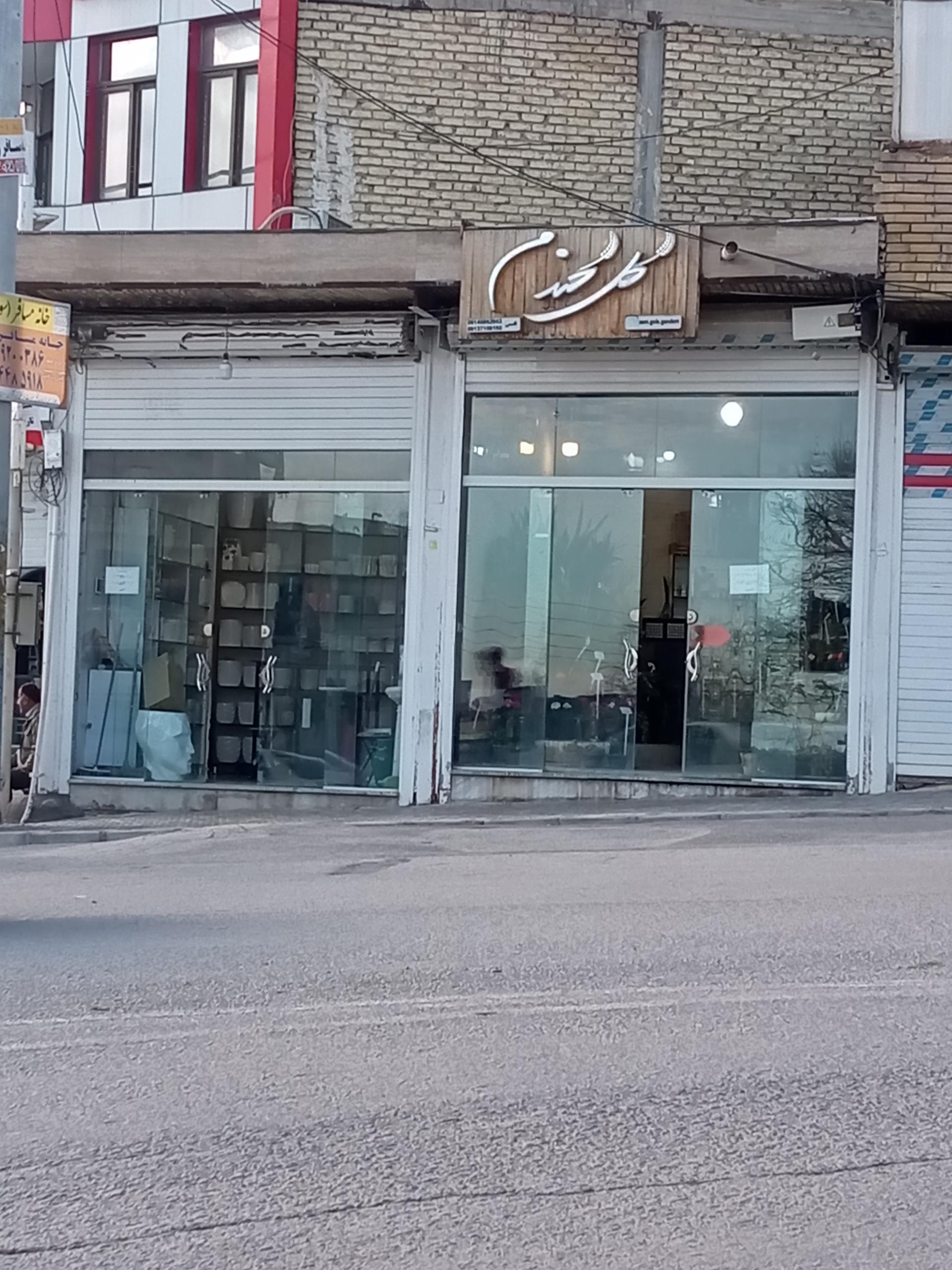 عکس گل فروشی گل گندم