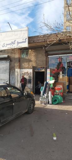 پیک نیک پرکنی 