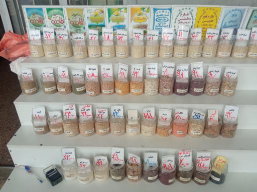 عکس سوپر مهدی