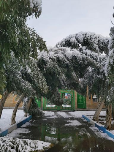 اداره آموزش و پرورش شهرستان ساوه