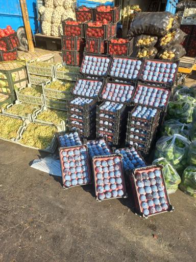 عکس بارفروشی برادران امینی