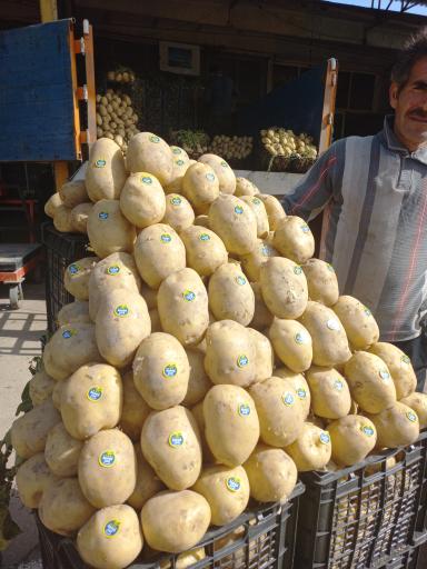 عکس بارفروشی برادران امینی