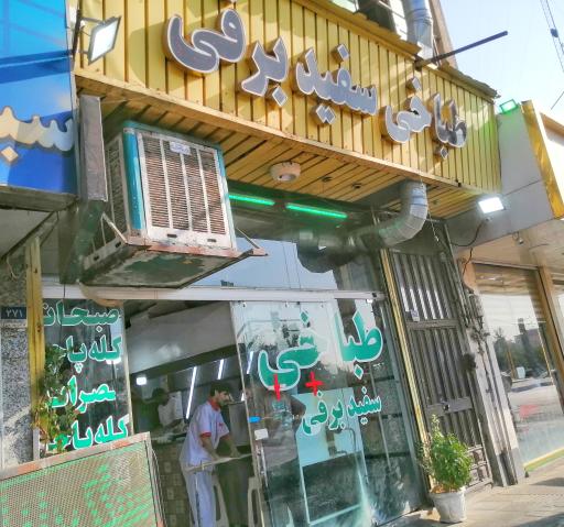 عکس طباخی سفید برفی