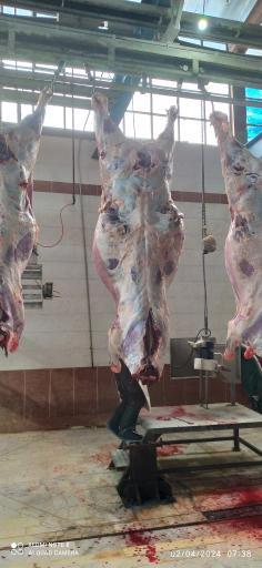 عکس سوپر گوشت زرگر 