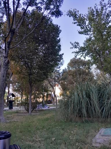 عکس بوستان امام رضا (ع)