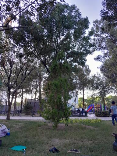 عکس بوستان امام رضا (ع)