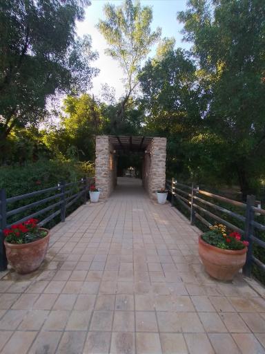 عکس دانشکده هنر شوشتر