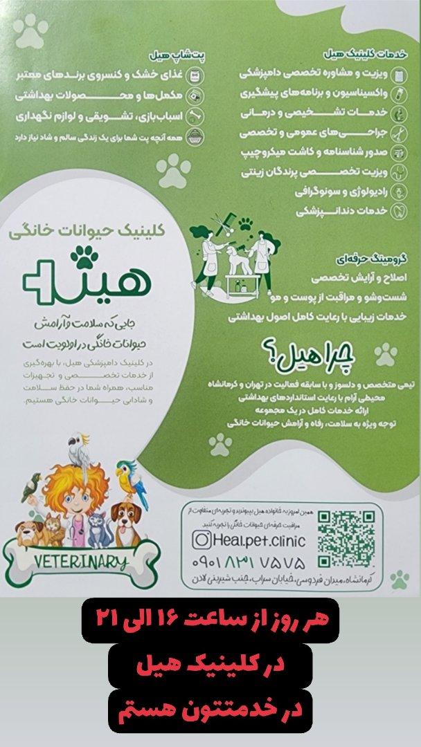 عکس کلینیک دامپزشکی هیل