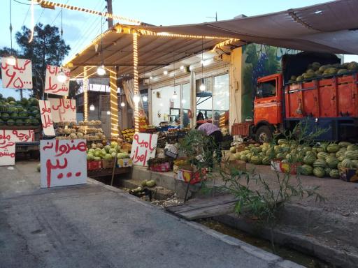 عکس میوه سرای بابا احمدی القاسی