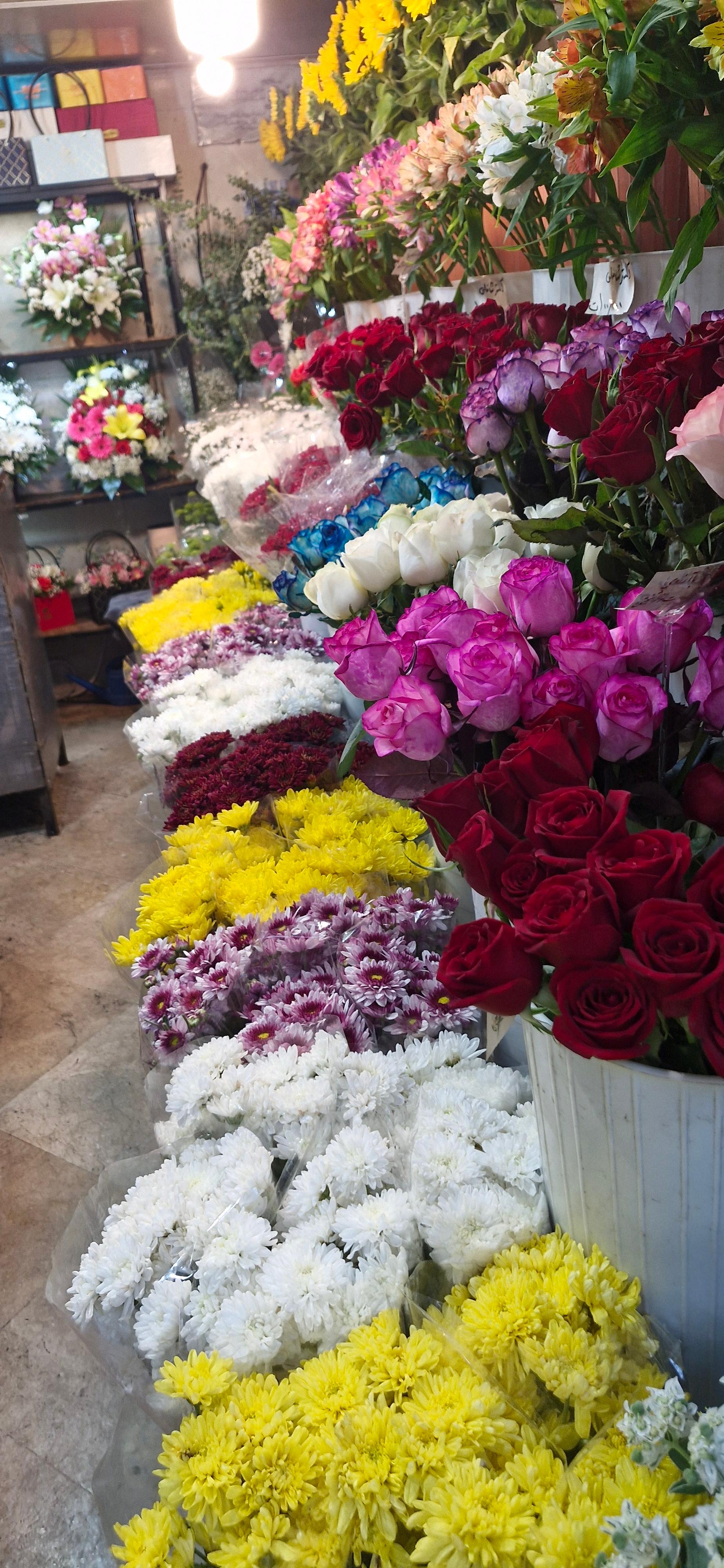 عکس گلفروشی آزالیا