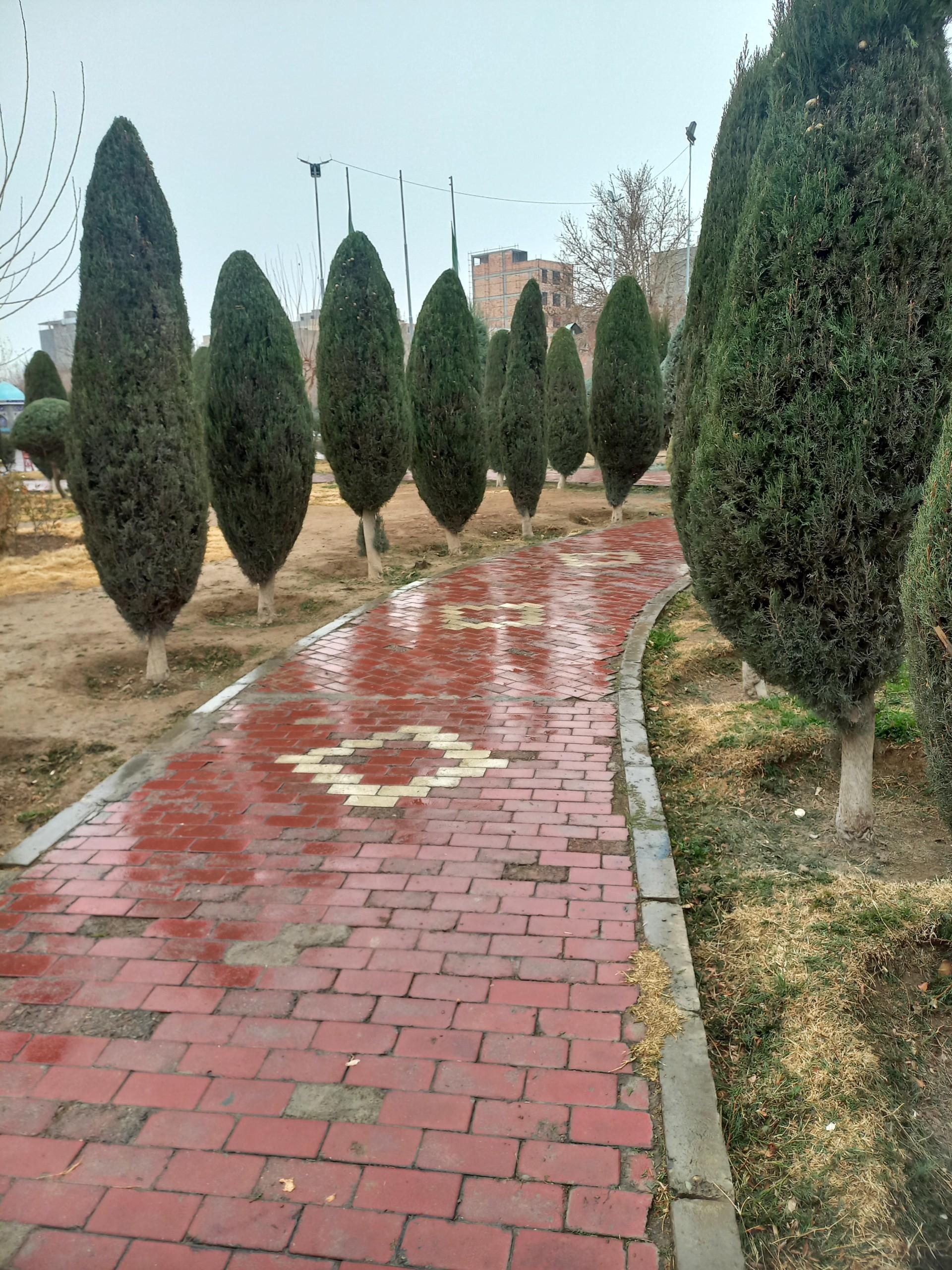 عکس بوستان شهدای چهاردانگه