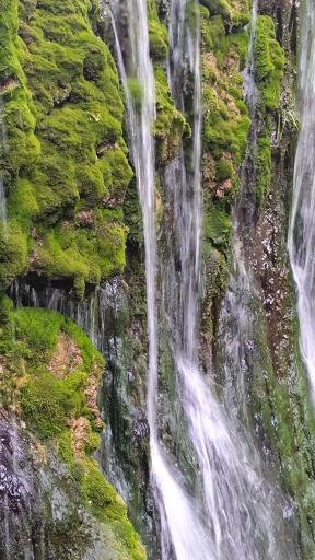 عکس چشمه طبیعی پارک بابا امان