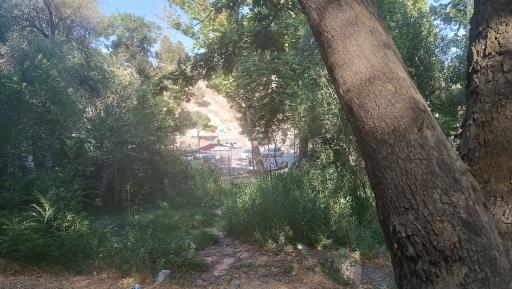 عکس چشمه طبیعی پارک بابا امان
