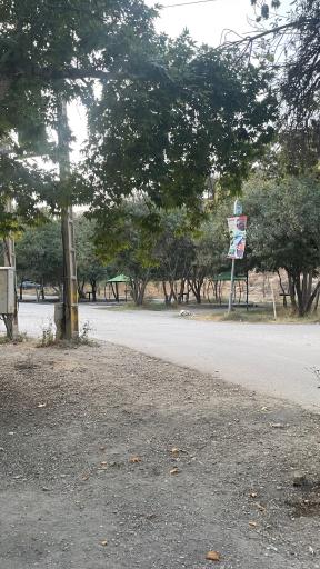 عکس چشمه طبیعی پارک بابا امان