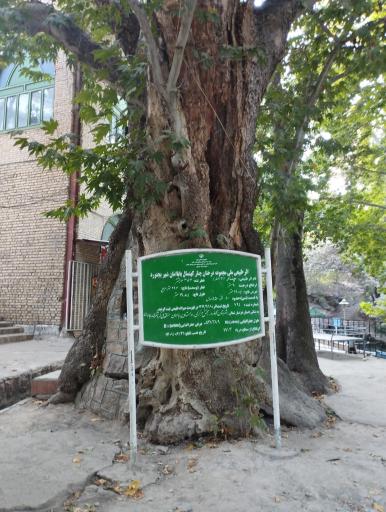 عکس چشمه طبیعی پارک بابا امان