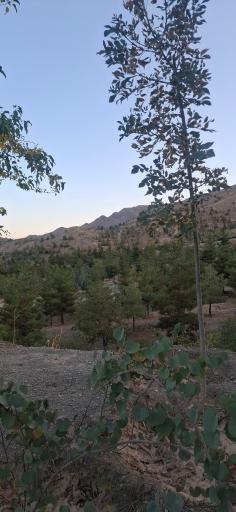 عکس کوهستان پارک خورشید