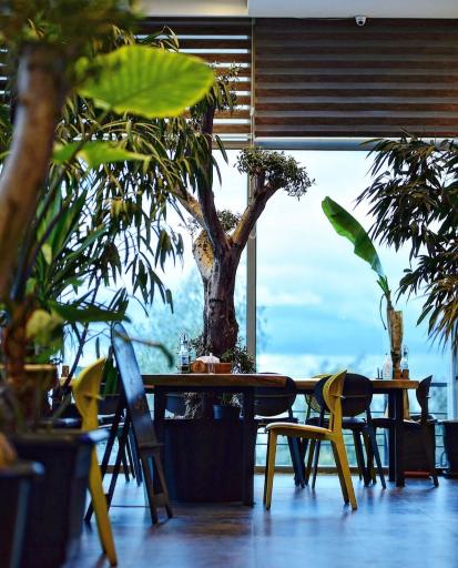 عکس کافه  ویو