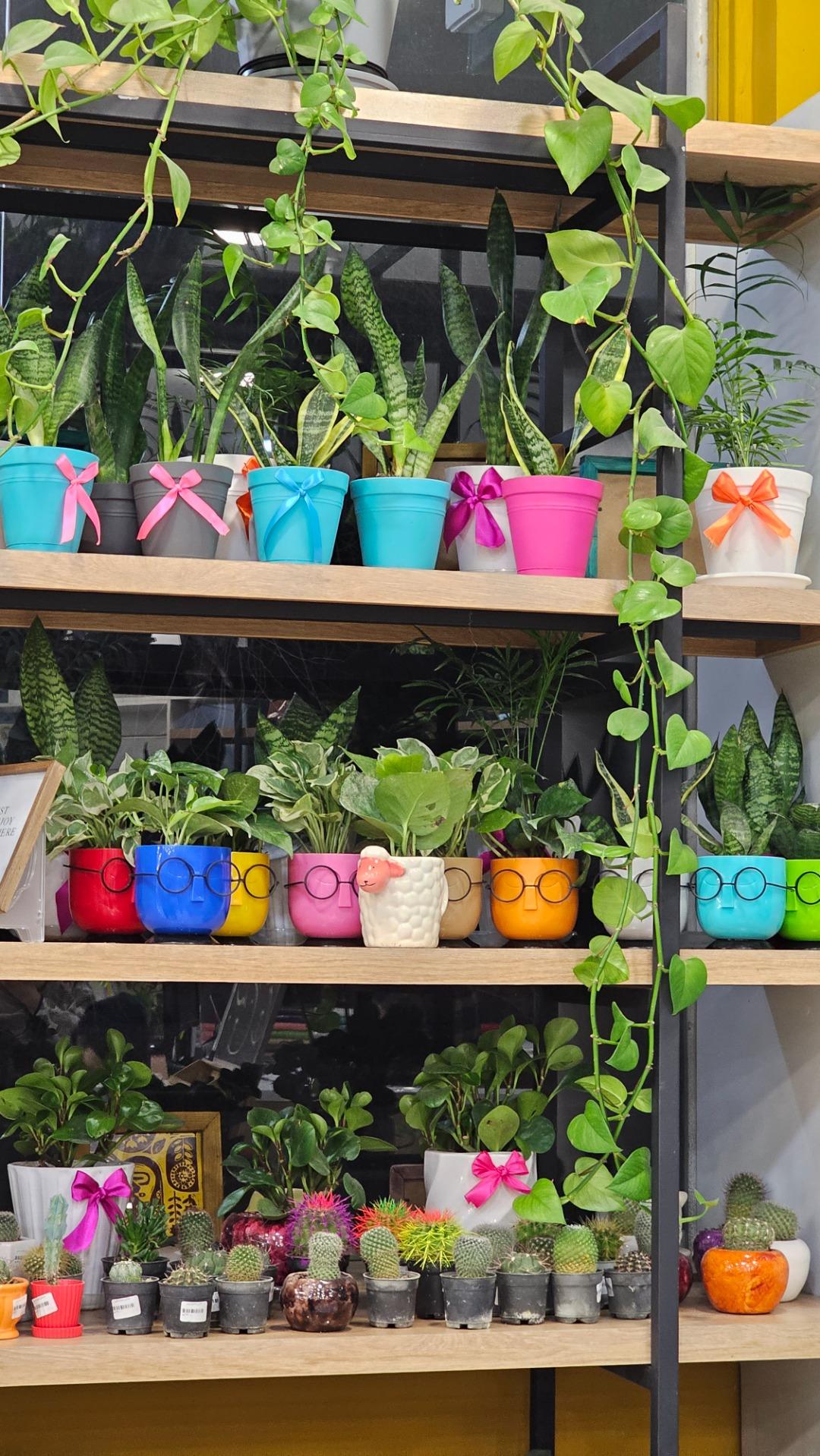 عکس کتابشهر ایران (شعبۀ اهواز)