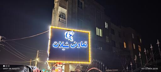 عکس تعاونی شیلات