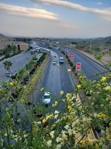عکس پل طبیعت