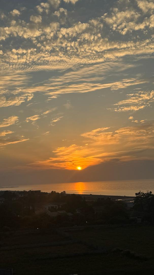 عکس کافه  ویو