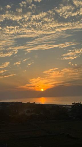 عکس کافه  ویو