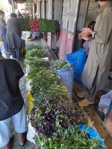عکس سبزی فروشی کاظمی 