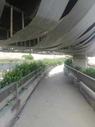عکس پل طبیعت