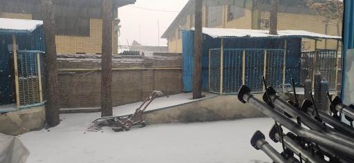 عکس پارس اگزوز